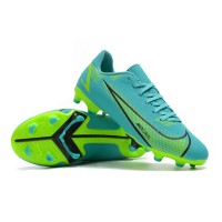 Бутси Nike Mercurial Vapor XIV Pro FG