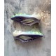 Бутсы Аdidas F50 FG