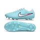 Бутси Nike Tiempo Legend 10 FG - 623-gl