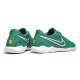 Футзалки Nike Tiempo Legend 10 TF - 512-gl