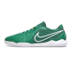 Футзалки Nike Tiempo Legend 10 TF - 512-gl