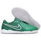 Футзалки Nike Tiempo Legend 10 TF - 512-gl