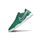 Футзалки Nike Tiempo Legend 10 TF - 512-gl