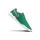 Футзалки Nike Tiempo Legend 10 TF - 512-gl