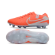 Бутсы Nike Tiempo Legend 10 FG - 611-gl
