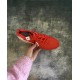 Бутсы Nike Tiempo Legend 10 FG - 611-gl