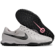 Сороконіжки Nike Tiempo Legend 10 TF - 637-gl