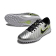 Сороконіжки Nike Tiempo Legend 10 TF - 642-gl