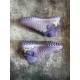 Сороконіжки Nike Phantom Luna FG