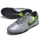 Сороконожки Найк Tiempo Legend 10 TF